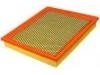 Air Filter:53007386