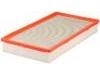 Luftfilter Air Filter:19152817