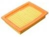 Luftfilter Air Filter:25097359