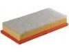 Air Filter:17801-0N040