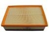 Luftfilter Air Filter:82 00 795 348