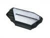 Air Filter:17220-P0A-G00