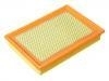 Air Filter:F23Z-9601-B