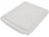 Air Filter:MR968274